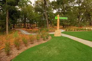 249 Bee Balm Rd, McKinney, TX 75071 - Photo 37