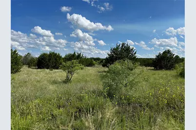 102 Sean Lane, Bangs, TX 76823 - Photo 3