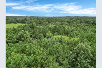 368 Sneed Road, Waskom, TX 75692 - Photo 5