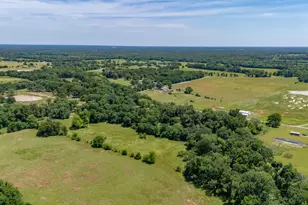 450 Rs County Rd 4480, Point, TX 75472 - Photo 23