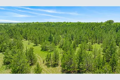 Tbd County Road 15220, Deport, TX 75435 - Photo 7