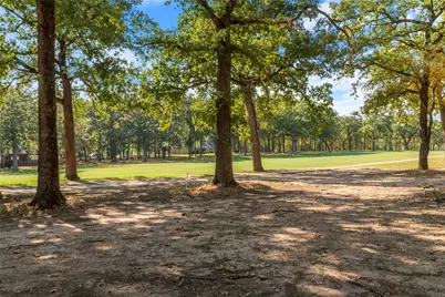 221 Colonial Drive, Mabank, TX 75156 - Photo 3