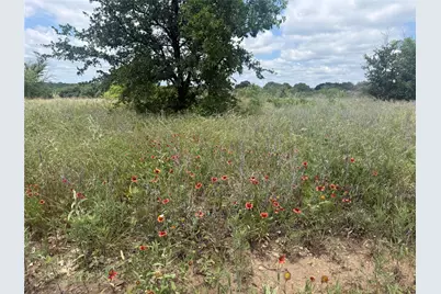 10131 Horizon View, Tolar, TX 76476 - Photo 3