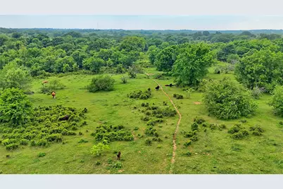Tbd Cardwell Road, Ringgold, TX 76261 - Photo 5