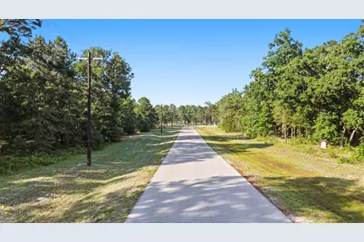 3132 Shadow Pine Drive, LaRue, TX 75770 - Photo 3