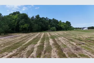 3164 County Road 1076, Celeste, TX 75423 - Photo 7