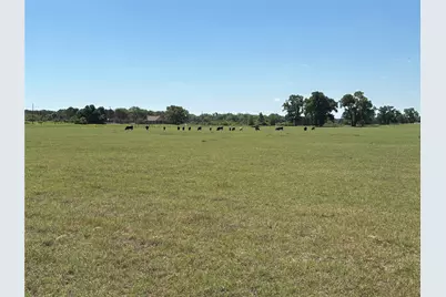 2966 Highway 679, Gorman, TX 76454 - Photo 3