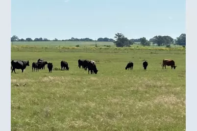 2966 Highway 679, Gorman, TX 76454 - Photo 9