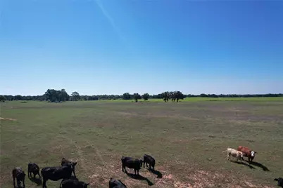2966 Highway 679, Gorman, TX 76454 - Photo 25