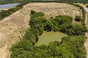 Tbd Fm-1390, Scurry, TX 75158 - Photo 1