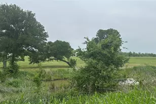 2642 Hwy 84 W, Mexia, TX 76667 - Photo 3