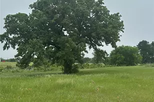 2642 Hwy 84 W, Mexia, TX 76667 - Photo 5