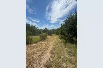 7800 Boswell Court, Lipan, TX 76462 - Photo 13