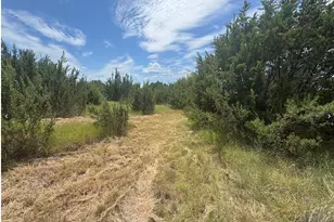 7800 Boswell Ct, Lipan, TX 76462 - Photo 1