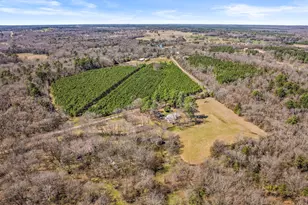 431 Cr 2715, Mt Pleasant, TX 75455 - Photo 11