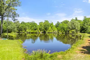 13575 Country View, Tyler, TX 75706 - Photo 33