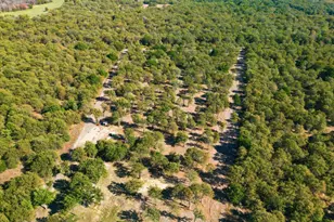 138 Gobbler Rd, Nocona, TX 76255 - Photo 33