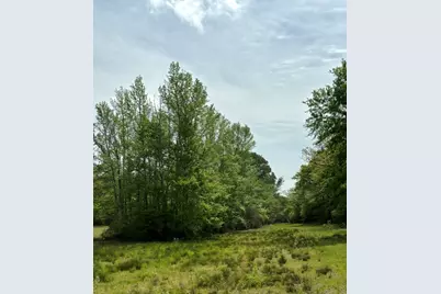 Tbd 006 County Road 242, Oakwood, TX 75855 - Photo 5