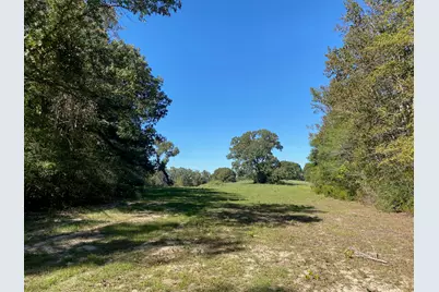 Tbd 006 County Road 242, Oakwood, TX 75855 - Photo 1