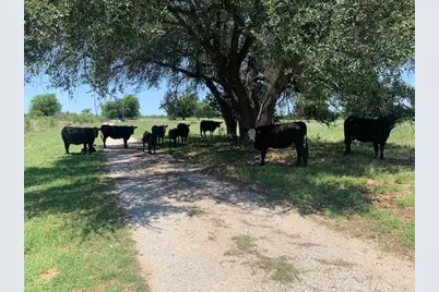 1521 Fm 590, Comanche, TX 76442 - Photo 29