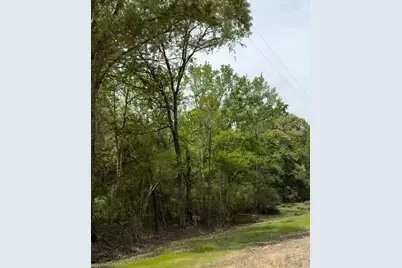Tbd 007 County Road 242, Oakwood, TX 75855 - Photo 5