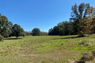 Tbd 007 County Road 242, Oakwood, TX 75855 - Photo 1