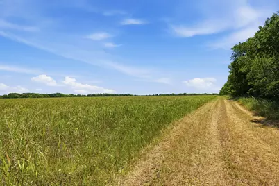 421 Chambers Creek Trail, Alvarado, TX 76009 - Photo 5