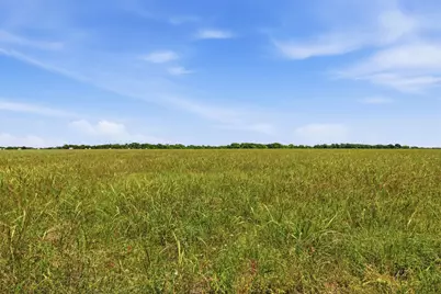 421 Chambers Creek Trail, Alvarado, TX 76009 - Photo 3
