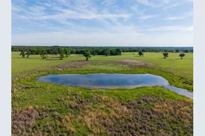 Lot 67 Horseshoe Lake Ranch, Marquez, TX 77865 - Photo 11