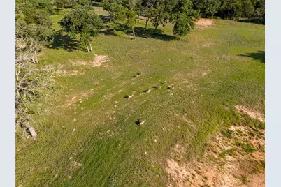 Lot 67 Horseshoe Lake Ranch, Marquez, TX 77865 - Photo 7