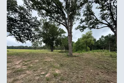 200 Livingston Street, Edgewood, TX 75117 - Photo 5