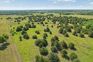 5815 FM118, Greenville, TX 75401 - Photo 33
