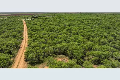 Tbd Tract 1 Fm 3116, Hawley, TX 79525 - Photo 7