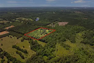 4469 Co Rd 1579, Avinger, TX 75630 - Photo 37