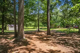 4469 Co Rd 1579, Avinger, TX 75630 - Photo 33