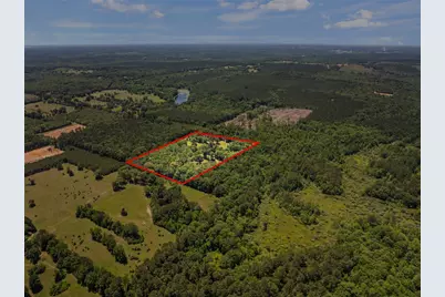 4469 County Road 1579, Avinger, TX 75630 - Photo 35