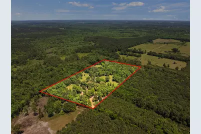 4469 County Road 1579, Avinger, TX 75630 - Photo 35