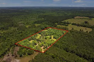 4469 Co Rd 1579, Avinger, TX 75630 - Photo 35