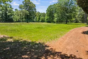 4469 Co Rd 1579, Avinger, TX 75630 - Photo 39