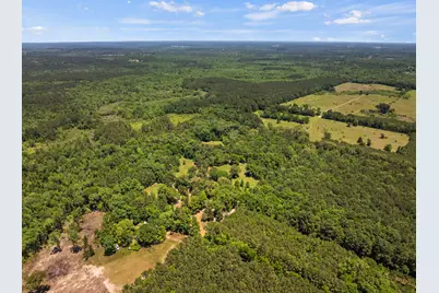 4469 County Road 1579, Avinger, TX 75630 - Photo 37