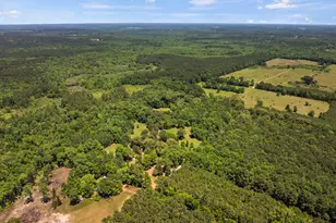 4469 Co Rd 1579, Avinger, TX 75630 - Photo 37