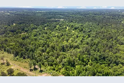 0 Anderson County Road 359 (Off), Palestine, TX 75801 - Photo 5