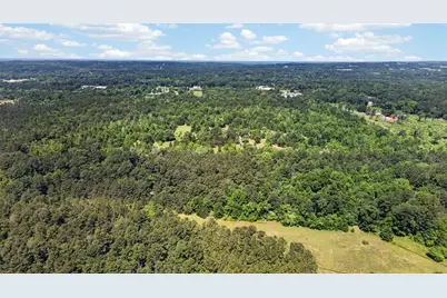 0 Anderson County Road 359 (Off), Palestine, TX 75801 - Photo 13