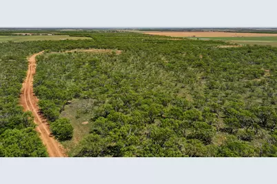 Tbd Tract 4 Fm 3116, Hawley, TX 79525 - Photo 5