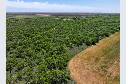 Tbd Tract 8 Fm 1812, Hawley, TX 79525 - Photo 13