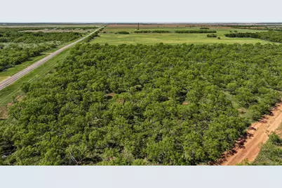 Tbd Tract 8 Fm 1812, Hawley, TX 79525 - Photo 9