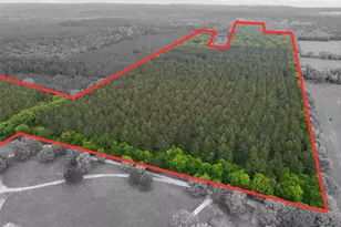 000 County Road 3824, Hawkins, TX 75765 - Photo 1