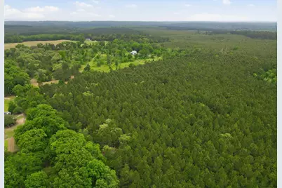 000 County Road 3824, Hawkins, TX 75765 - Photo 11