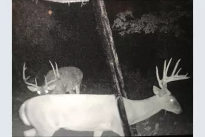 000 County Road 3824, Hawkins, TX 75765 - Photo 19