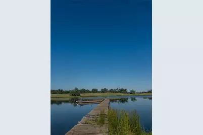 11843 Highway 175 E Highway, LaRue, TX 75770 - Photo 5
